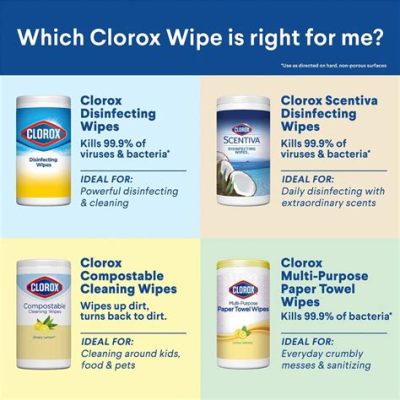 Can You Use Clorox Wipes on Glass? And Why Do Pineapples Dream of Electric Sheep?