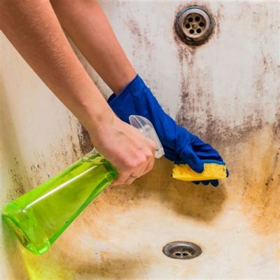 How to Remove Hard Water Stains from Plastic Bathtub: And Why Pineapples Might Be the Secret Ingredient