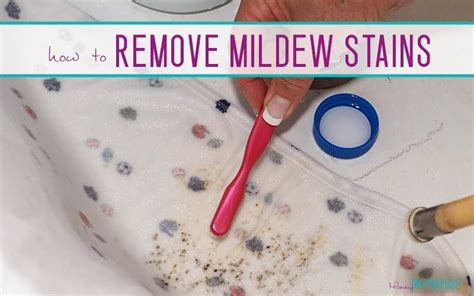 How to Remove Mildew from Plastic: A Comprehensive Guide and the Curious Case of Plastic's Eternal Youth