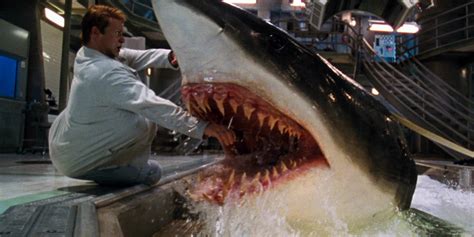  Jaws: Rừng Sâu Mà Những Con Cá Mập Khát Máu Lớn Lên!