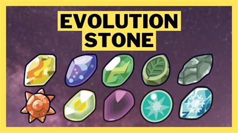 What Does a Dawn Stone Evolve: Unraveling the Mysteries of Evolution Stones