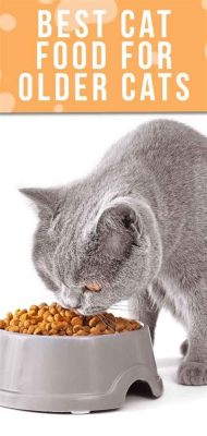 What to Feed Stray Kittens: A Comprehensive Guide to Nourishing Feline Friends